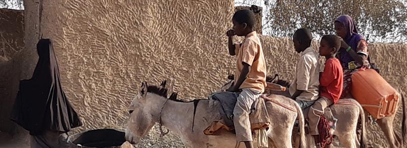 Dag 20 • 21. april • Kanuri-manga-folket i Niger